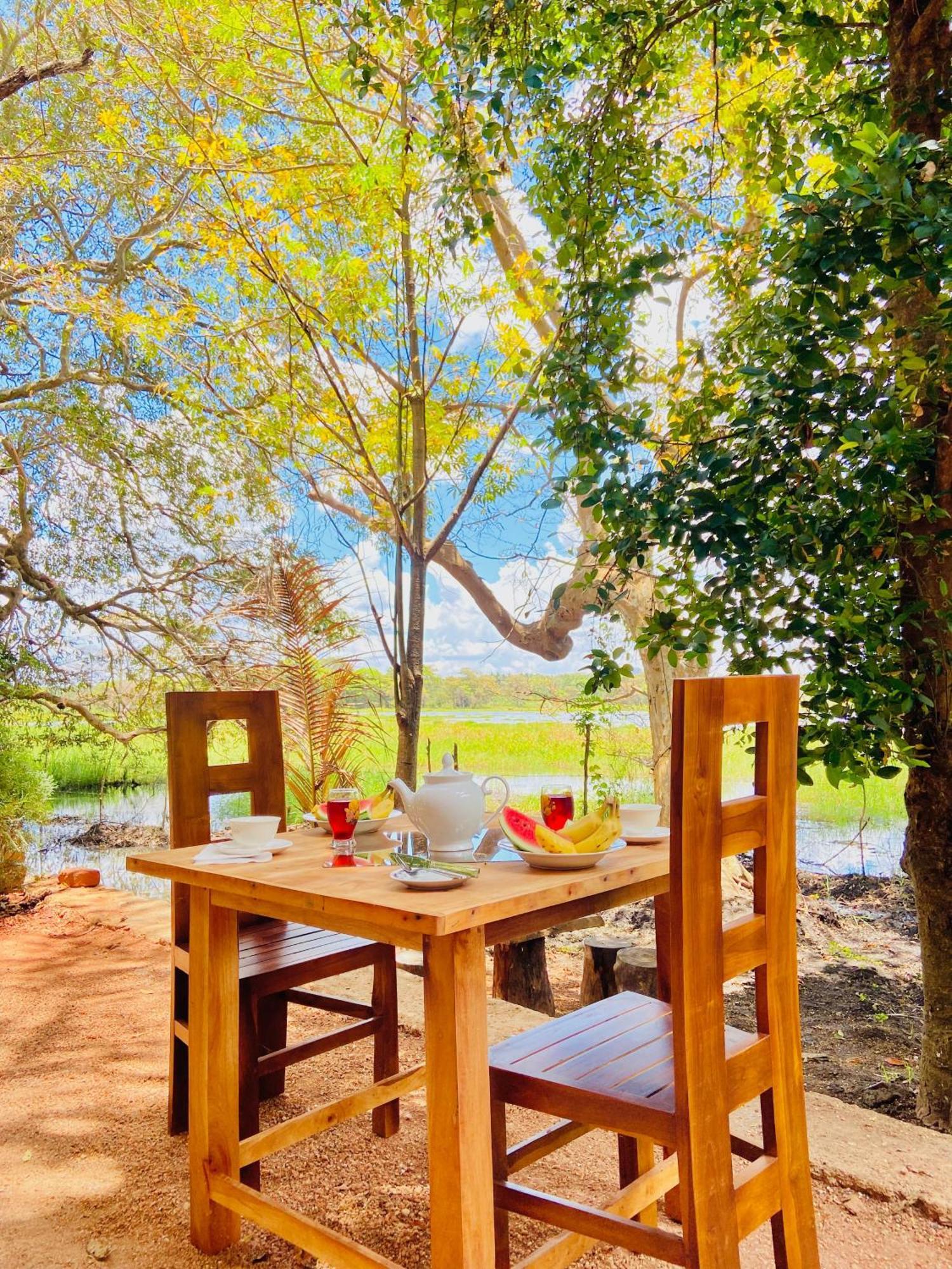 Nature Lotus Villa Dambulla Exteriör bild