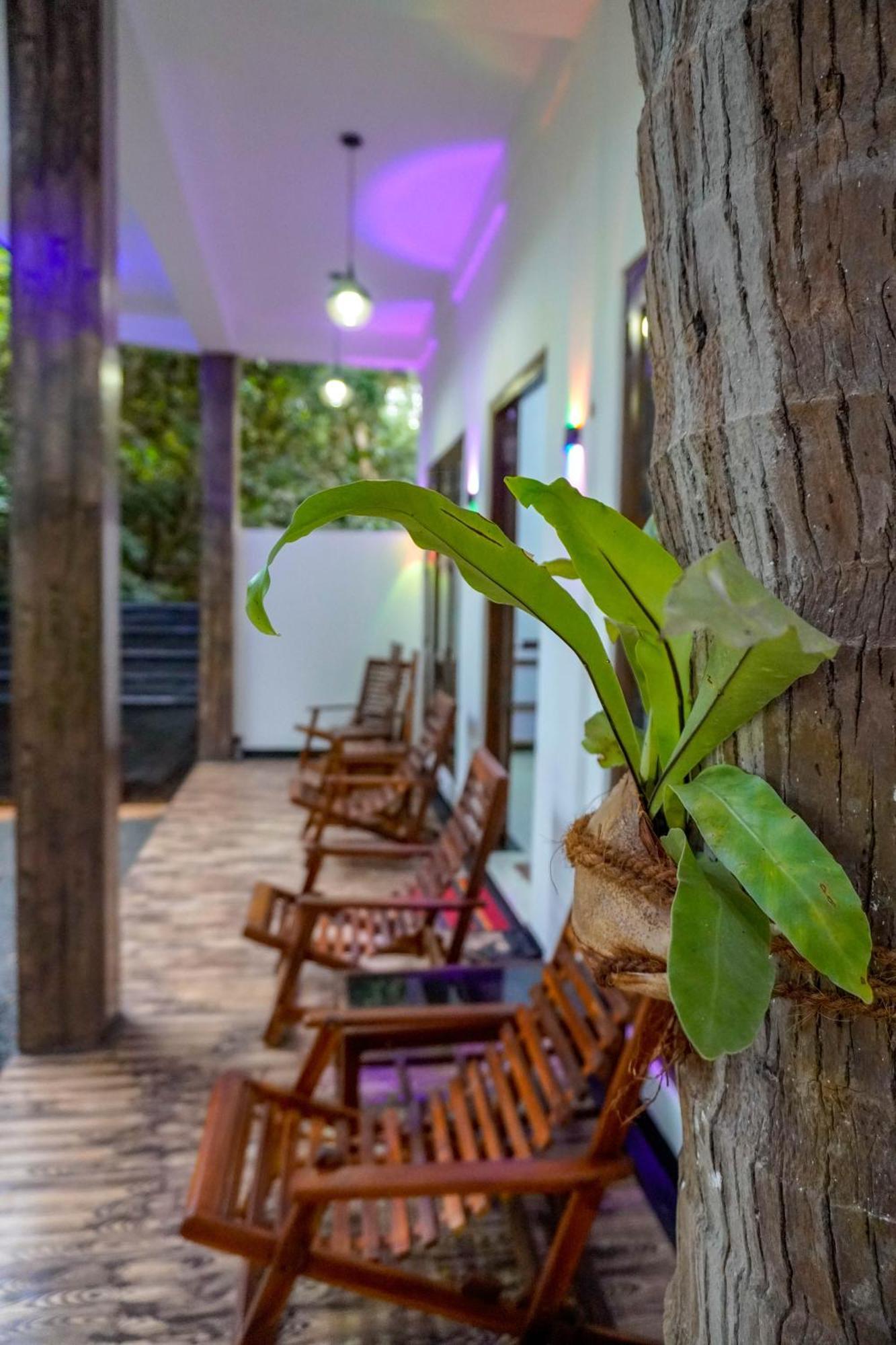 Nature Lotus Villa Dambulla Exteriör bild