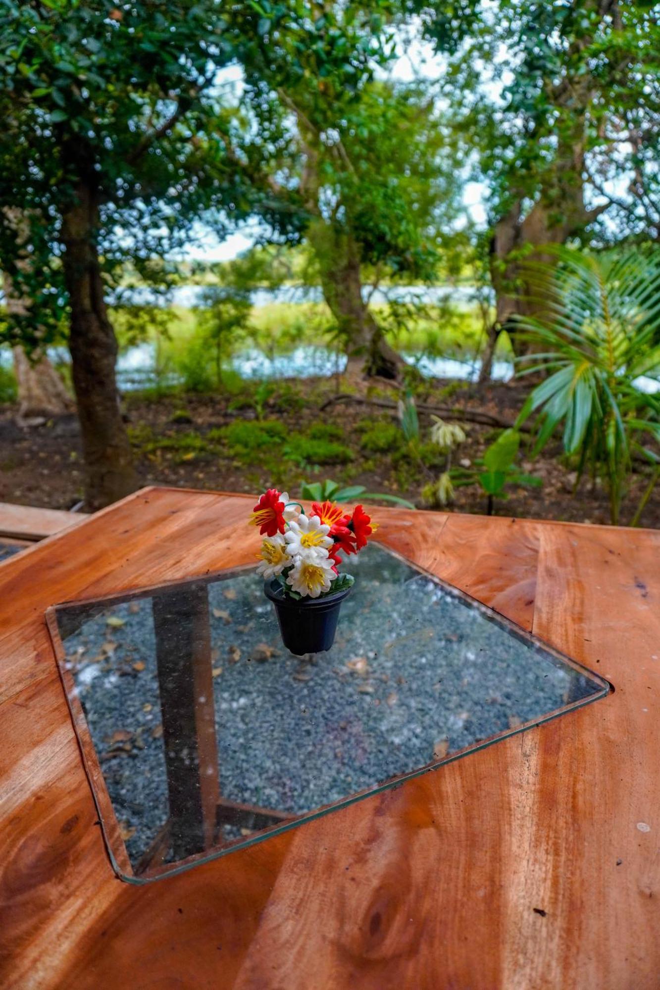 Nature Lotus Villa Dambulla Exteriör bild